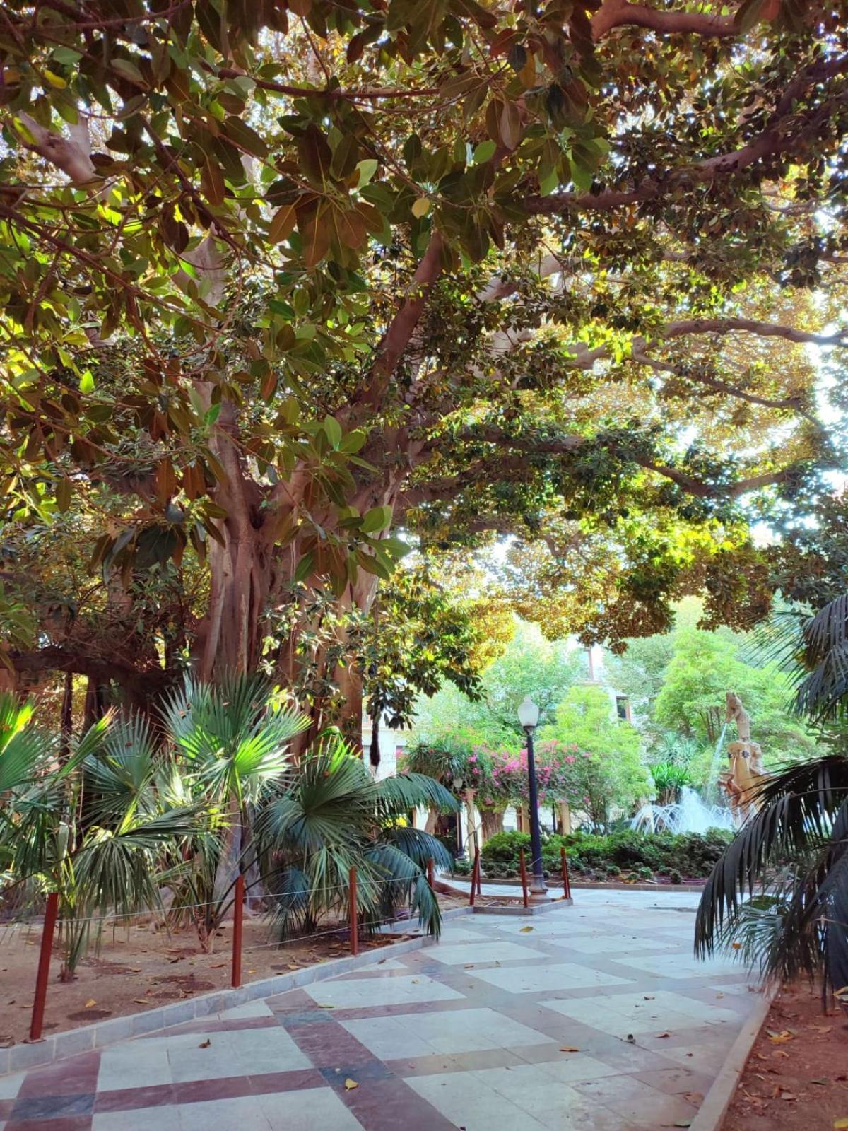 אליקאנטה El Postiguet'S Apartments מראה חיצוני תמונה